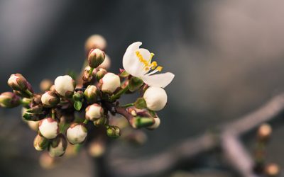 A New Season