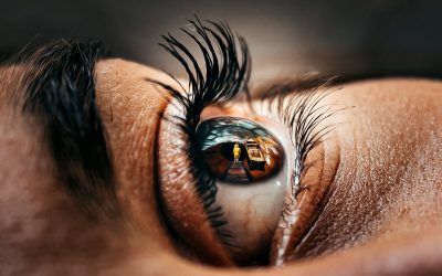 Transition of Sight