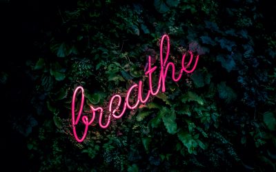 Rest in My Breath